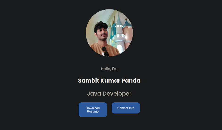 Screenshot of a responsive personal portfolio website optimized for smartphones